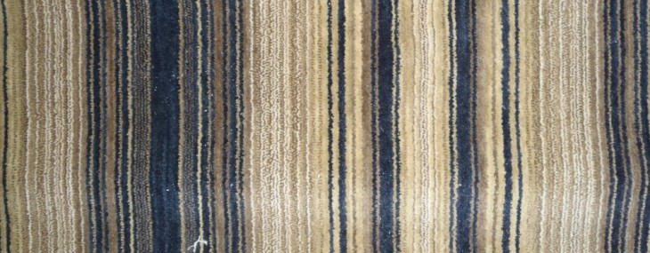 Wool Carpet Facts