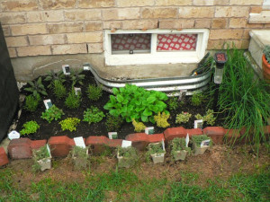 raised-bed-garden-how-to-start-a-garden-in-your-backyard