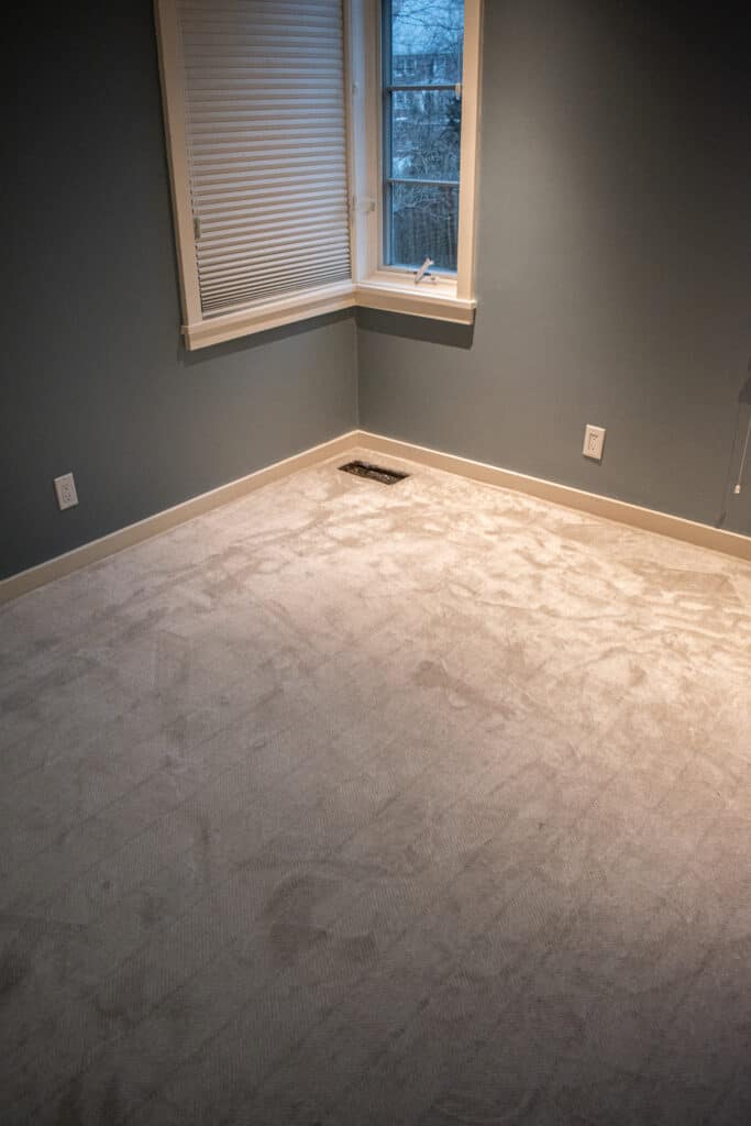 Wall to wall neutral carpet in a room with blue walls 