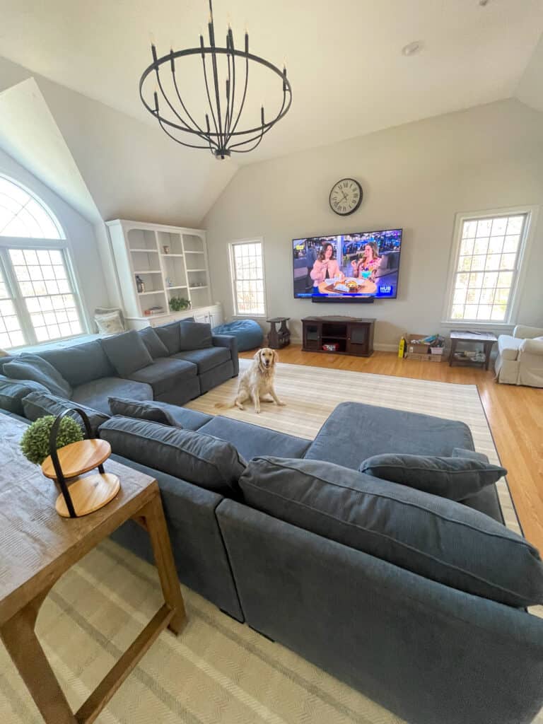 Wool area rug spread in a large living room with natural light