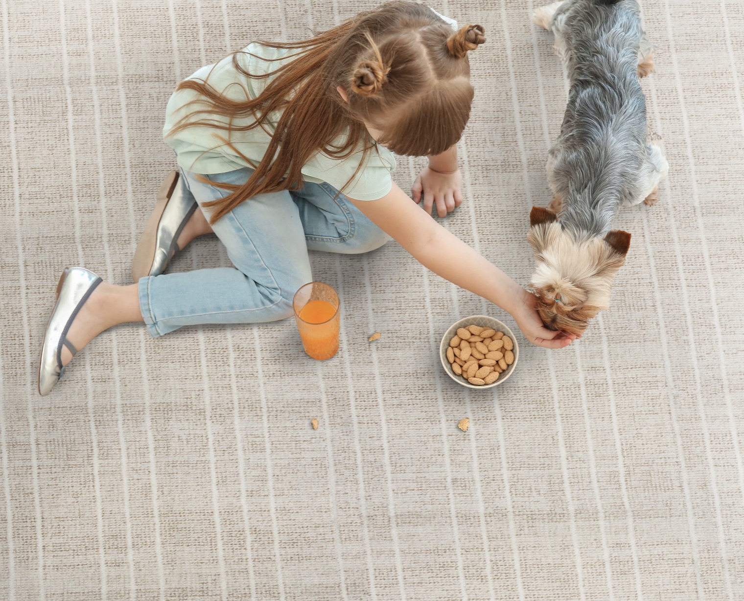 Child with food and pet dog on high performance carpet