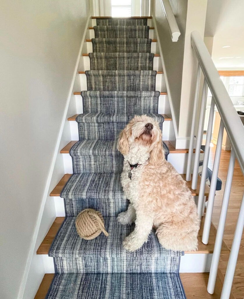 custom carpeting, carpeting questions, carpet guide