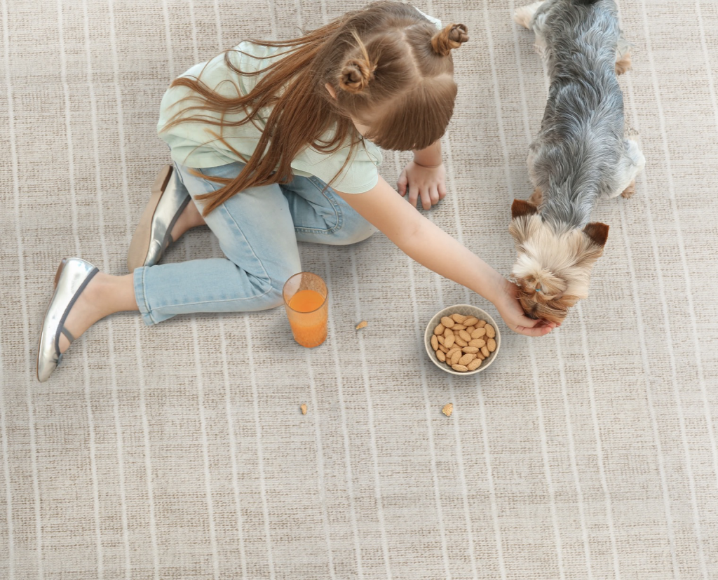 Performance carpet materials are designed for everyday living and giving you the peace of mind that your carpet is extra durable. They are engineered to last you a long time. 